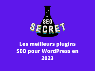 Plugins SEO WordPress